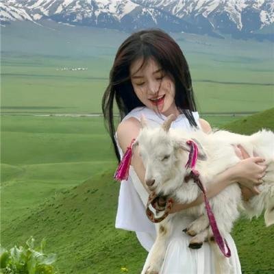 敬！莎莉